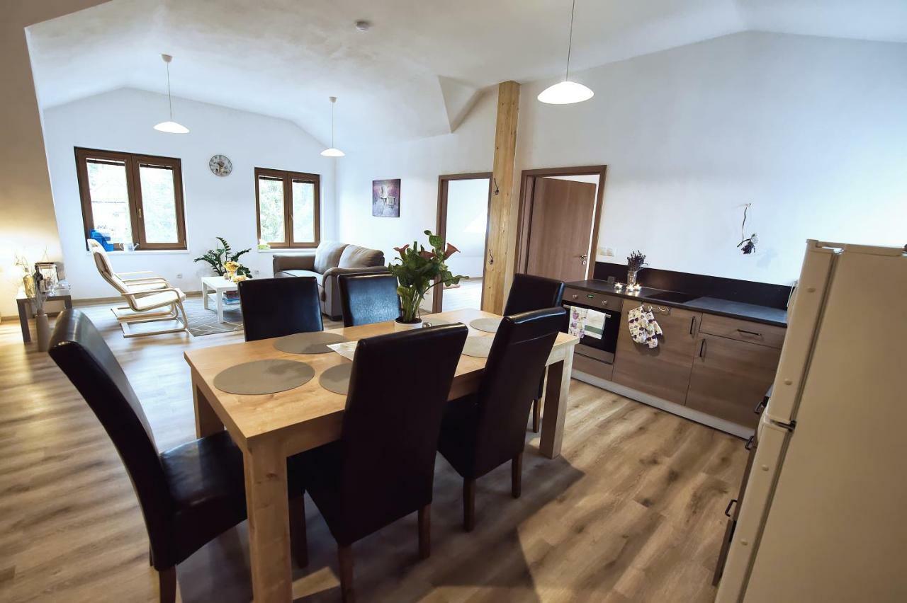 "U Capa" Krasny Apartman V Sedleci Sedlec  Buitenkant foto